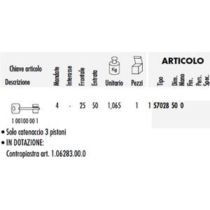 SER.CISA SICUR. D/MAPPA INFILARE X LEGNO 1 CHIUSURA 3 CATENACCI 57028-50-0 NICHELATI  MISURA :50 [ COD. : 8736-50 ]