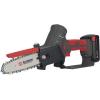 POTATORI BLUE BIRD BATTERIA LITIO 21V 2AH CS22-06 TIMBER 888210  [ COD. : 970C ]